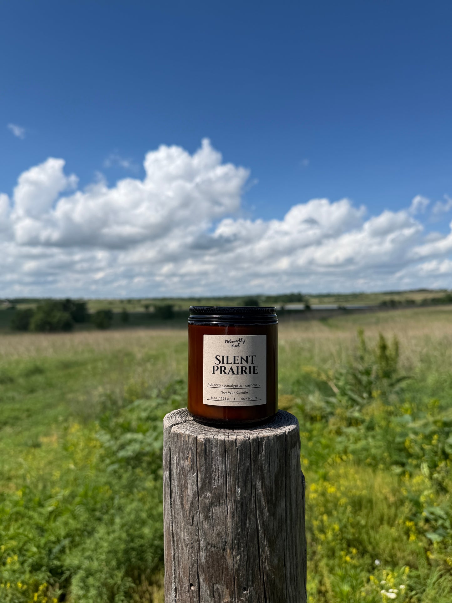 Silent Prairie